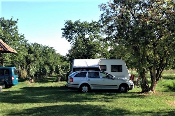 Camping & Weingut Ettenauer — Foto 2
