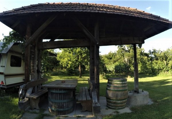 Camping & Weingut Ettenauer — Photo 2