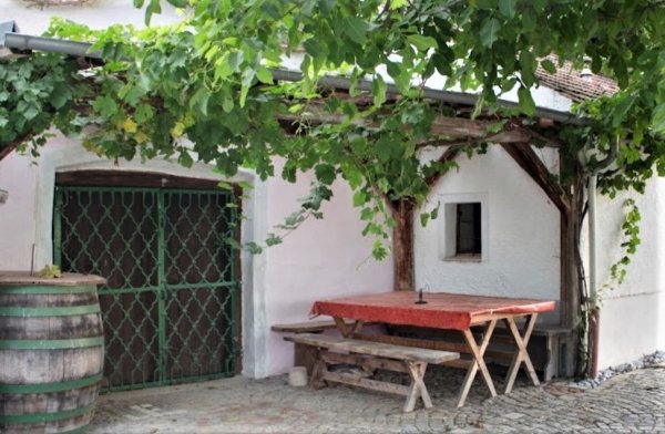 Camping & Weingut Ettenauer — Photo 5