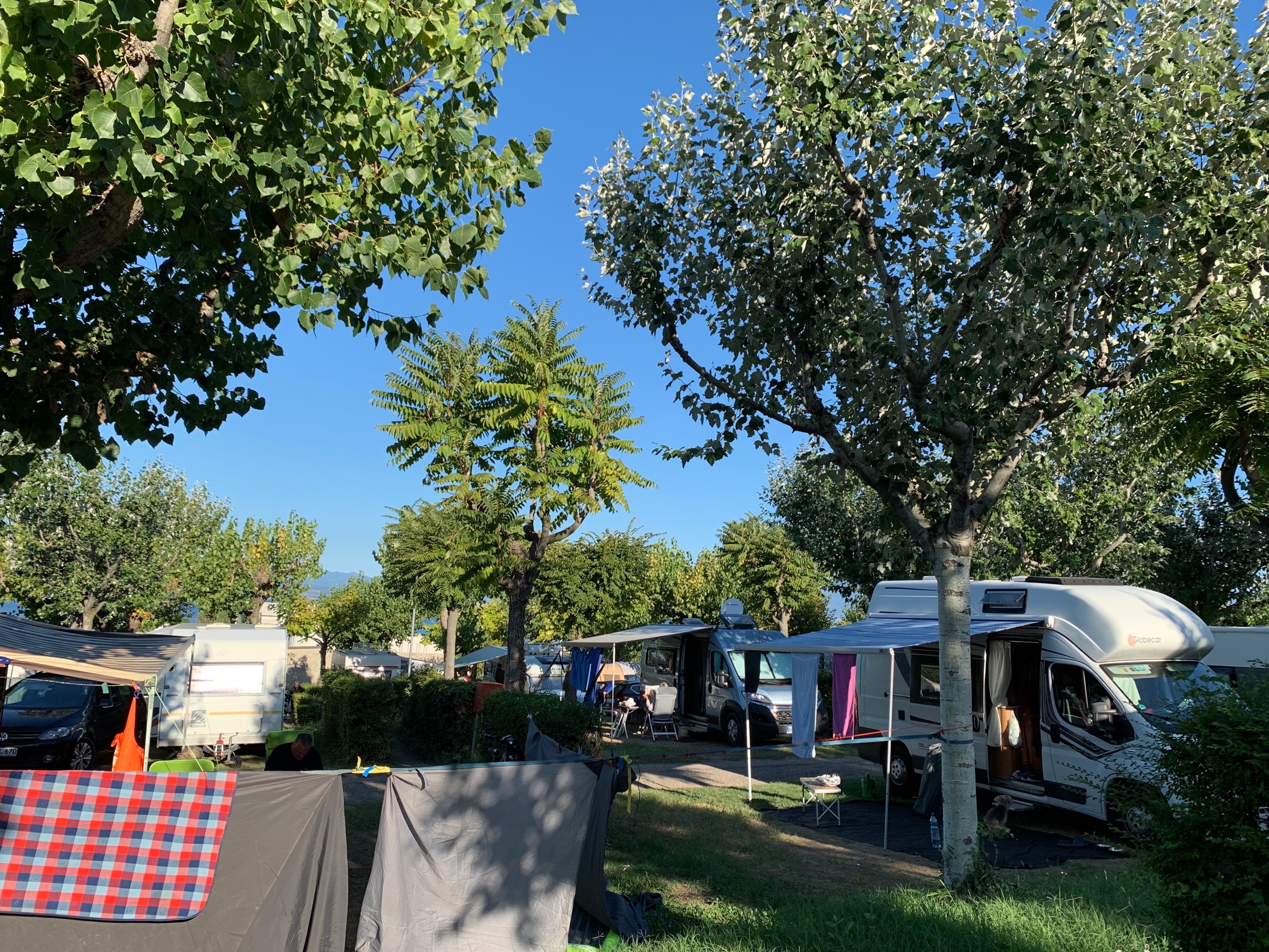 Camping Lido Lazise — Campingplats in Lazise