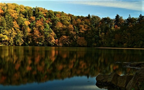 Camping Jungfernweiher — Photo 5