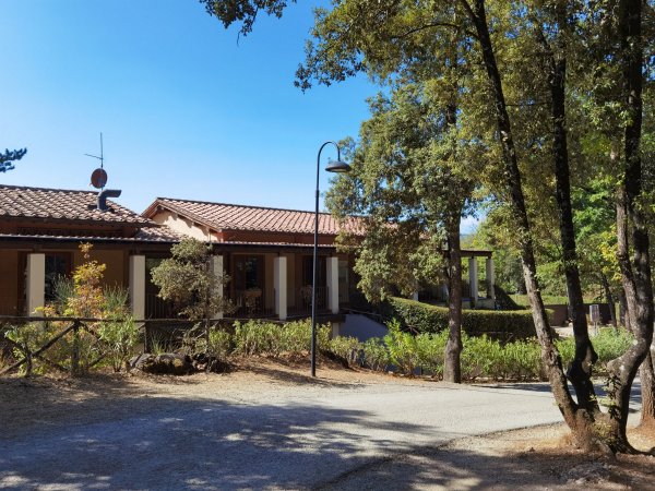 Camping Boschetto di Piemma — Photo 2