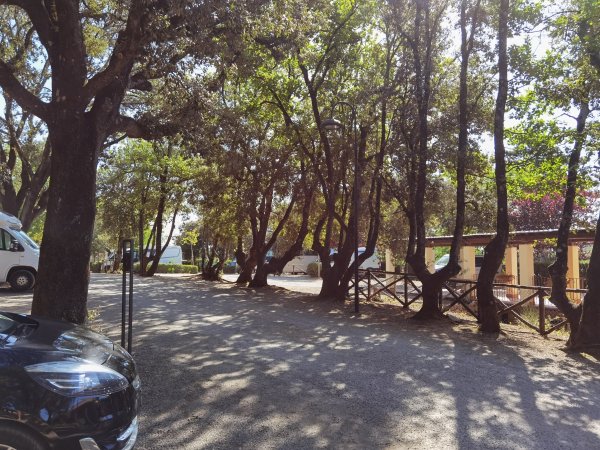 Camping Boschetto di Piemma — Photo 4