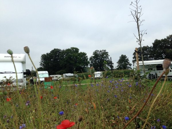 Camperpark De Vlinder — Sp. parking dla kamperów in Hengelo (Gld)