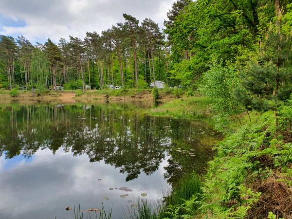 Waldcamping Olympiasee — Photo 3