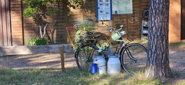 Waldcamping Olympiasee — Fotografie 3