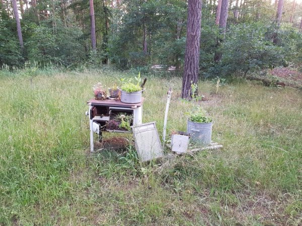 Waldcamping Olympiasee — Photo 5