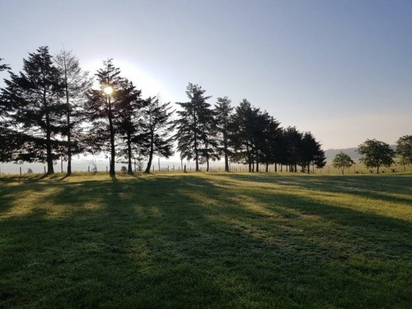Natuurcamping De Groenendaal