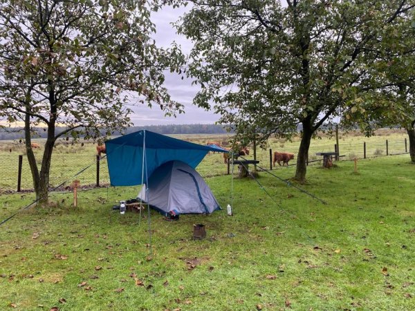 Natuurcamping De Groenendaal — Photo 2