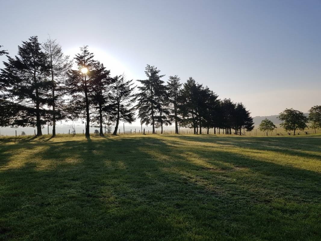 Natuurcamping De Groenendaal — Camping Site in Loenen