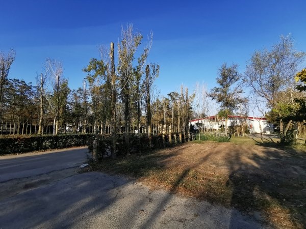 Camping de L'Espiguette *** — Campingplads in Le Grau-du-Roi