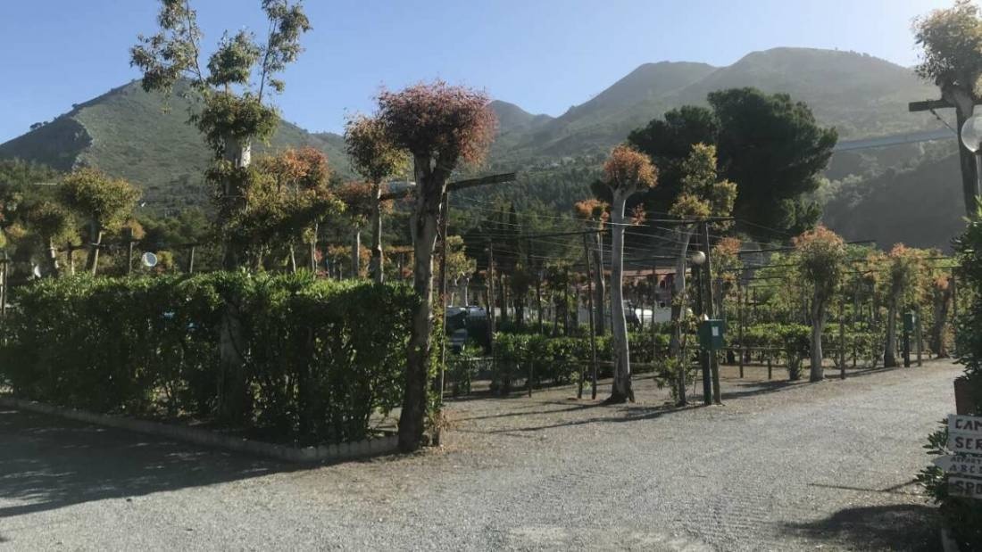 Camping Village International — Kemping in Praia A Mare (CS)