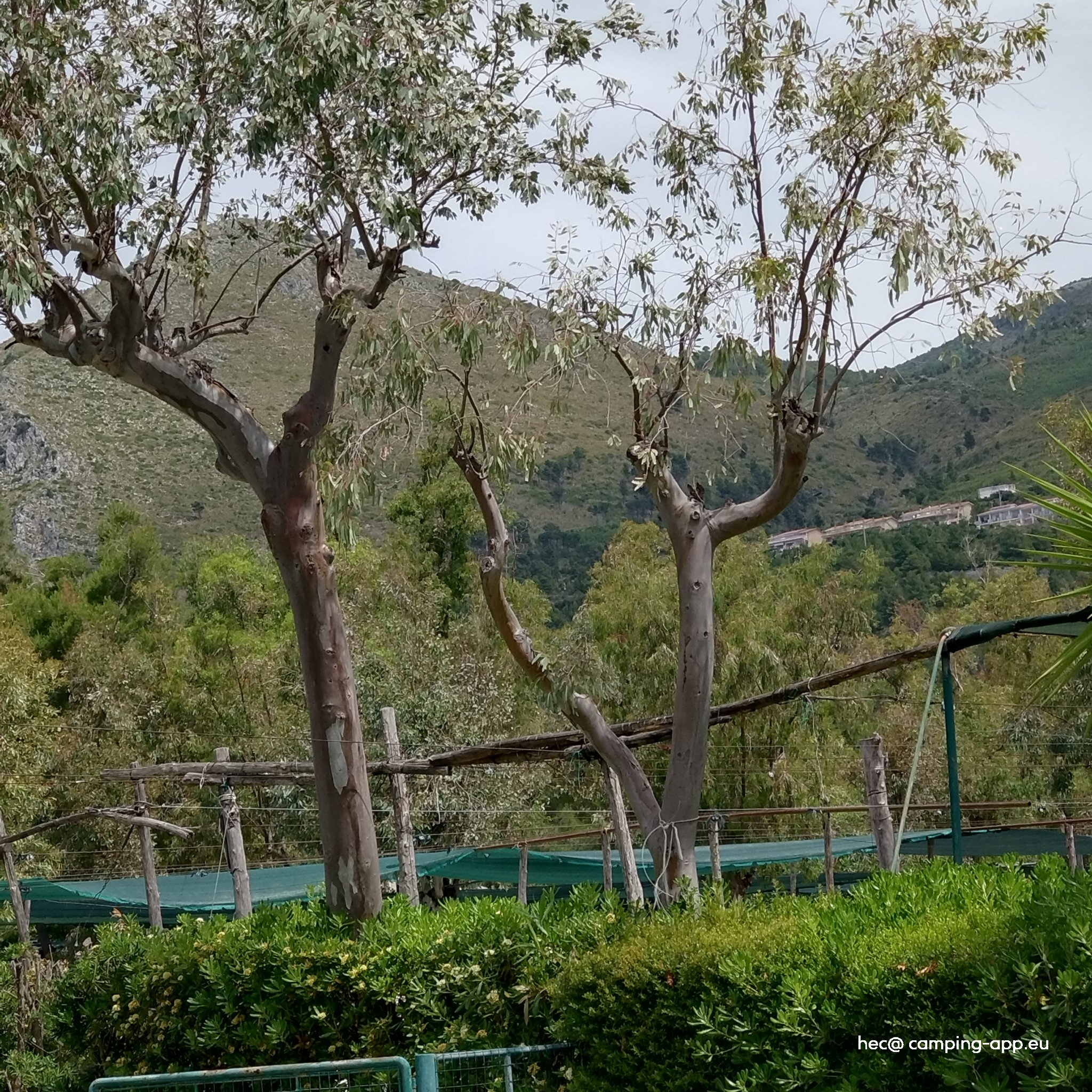 Camping Village International — Foto 5