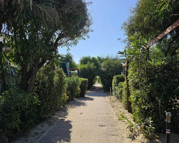 Villaggio Camping La Ginestra Club — Photo 3