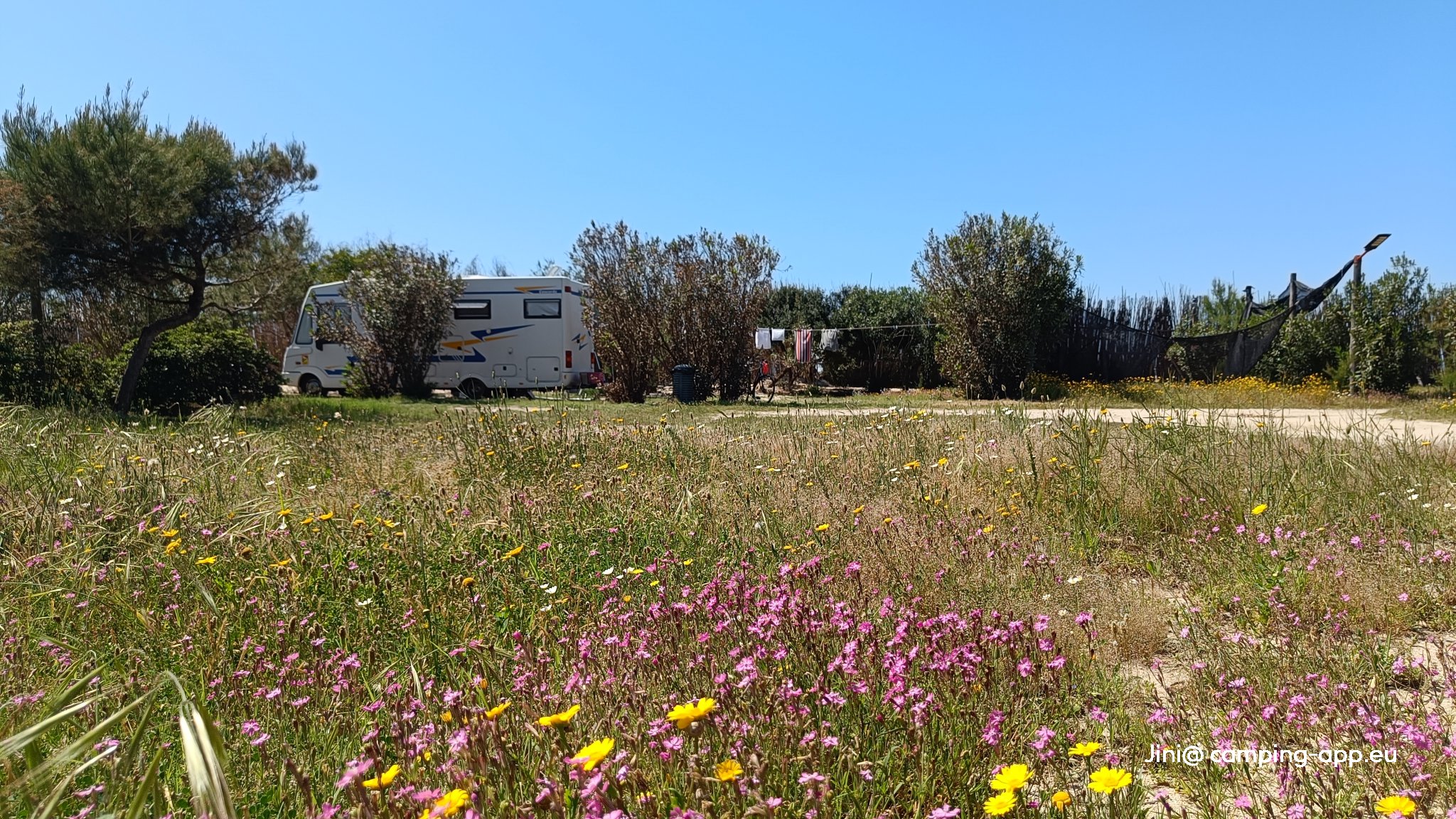 Villaggio Camping La Ginestra Club — Foto 2
