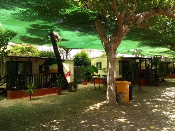 Camping Afrodite — Photo 2