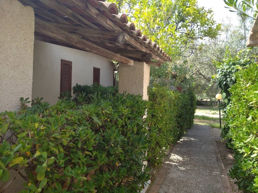 Camping Calabria Verde — Area da campeggio in Marina di Zambrone