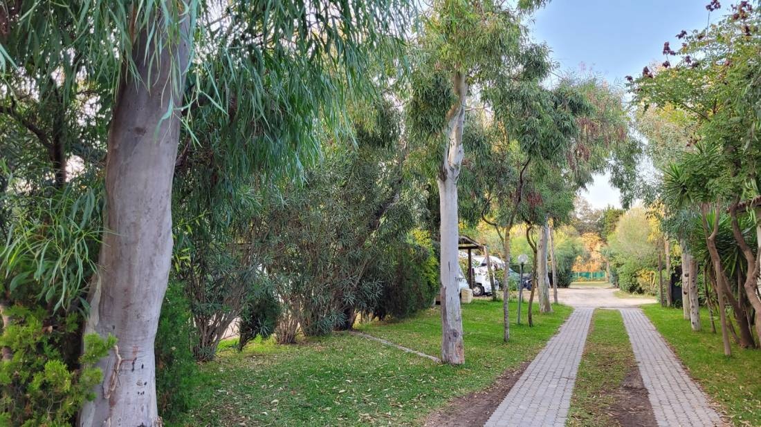 Villaggio Camping Mimosa — Kemping in Nicotera