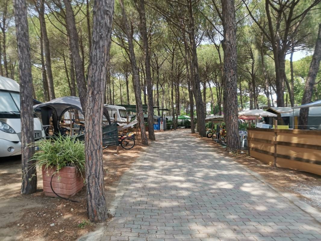 Camping Calabrisella — Kemping in Villaggio Le Roccelle