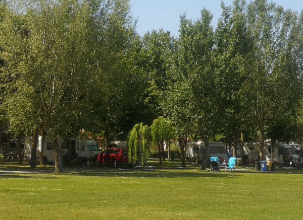 Badiaccia Camping Village — Photo 3