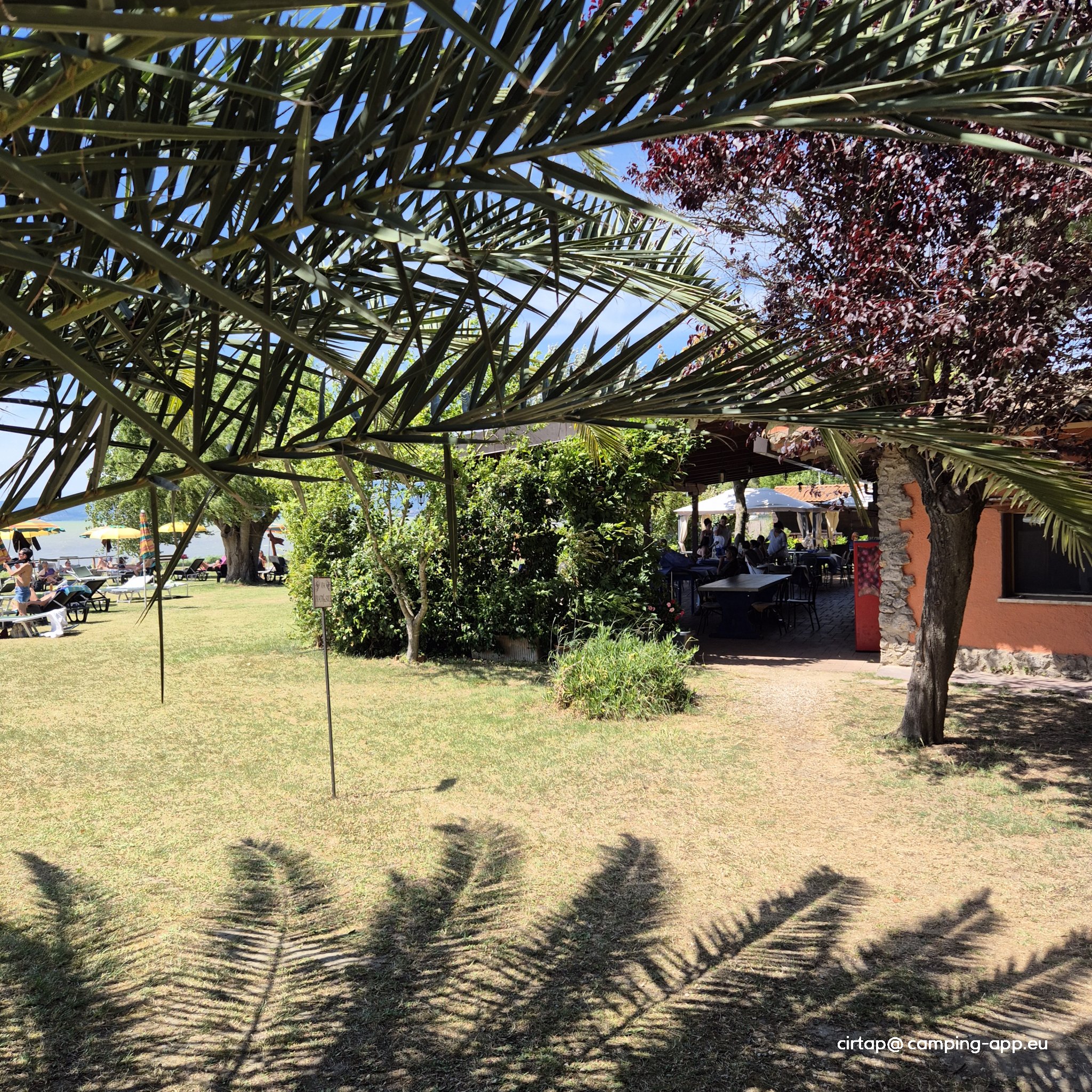 Villaggio Campeggio Parco dei Pini — Foto 4