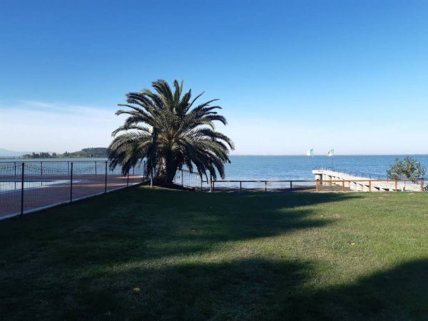 Villaggio Campeggio Parco dei Pini — Photo 2