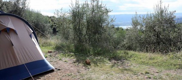 Camping Il Falcone — Photo 2