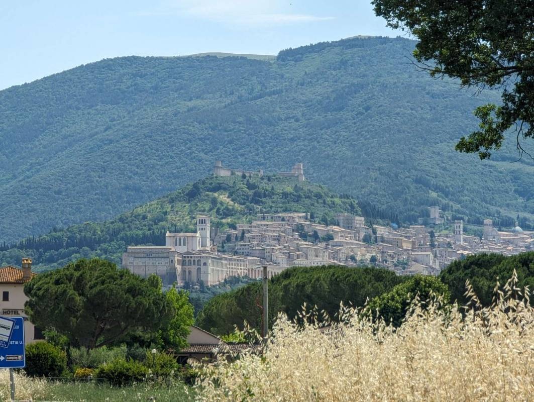 Green Village Assisi — Camping in Assisi (PG)
