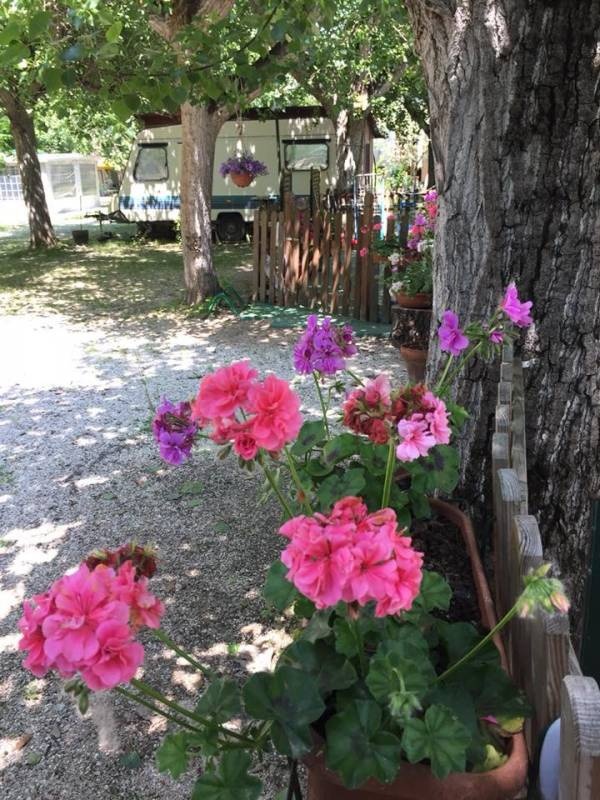 Camping Rivalago — Cámping in Magione