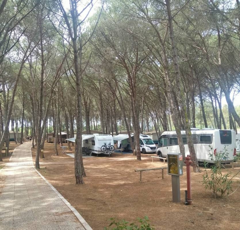 Village Camping Spinnaker **** — Kemp in Torre Grande