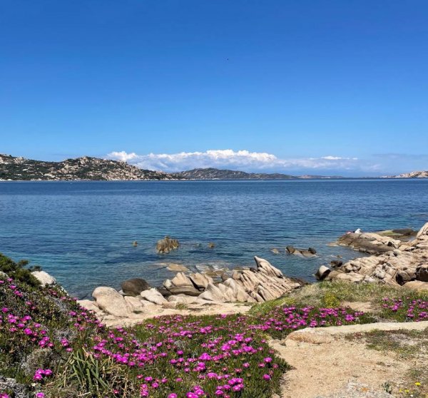 Camping Acapulco — Photo 2