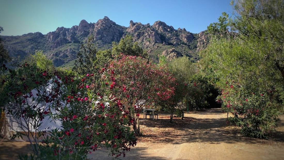 Camping Tesonis Beach — Kemp in Capo Sferracavallo