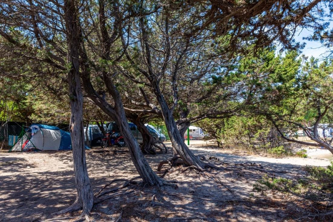 Camping Cala d'Ambra *** — Sítio de acampamento in Cala d'Ambra