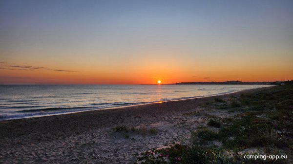 Campeggio La Palma — Photo 5