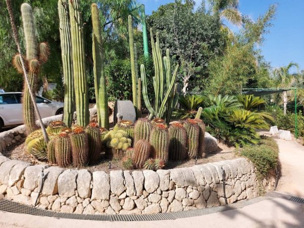 Campeggio Sabbiadoro — Photo 2