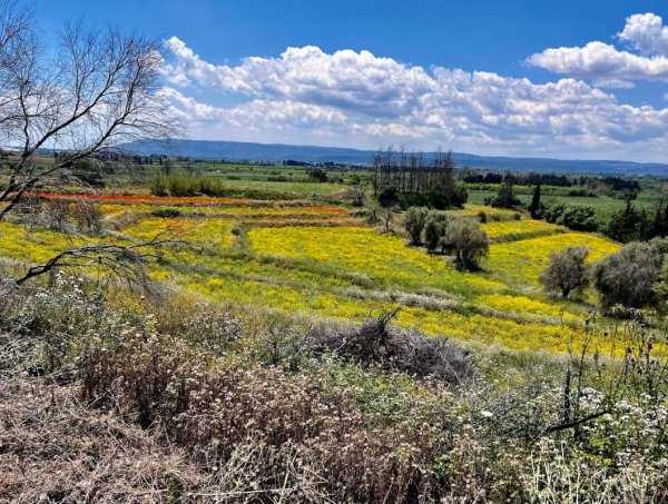 Camping Rinaura — Photo 2