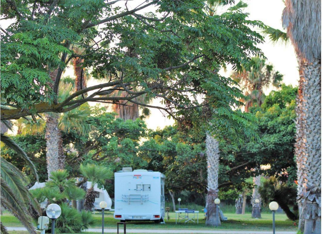 Camping Biscione — Camping in Petrosino