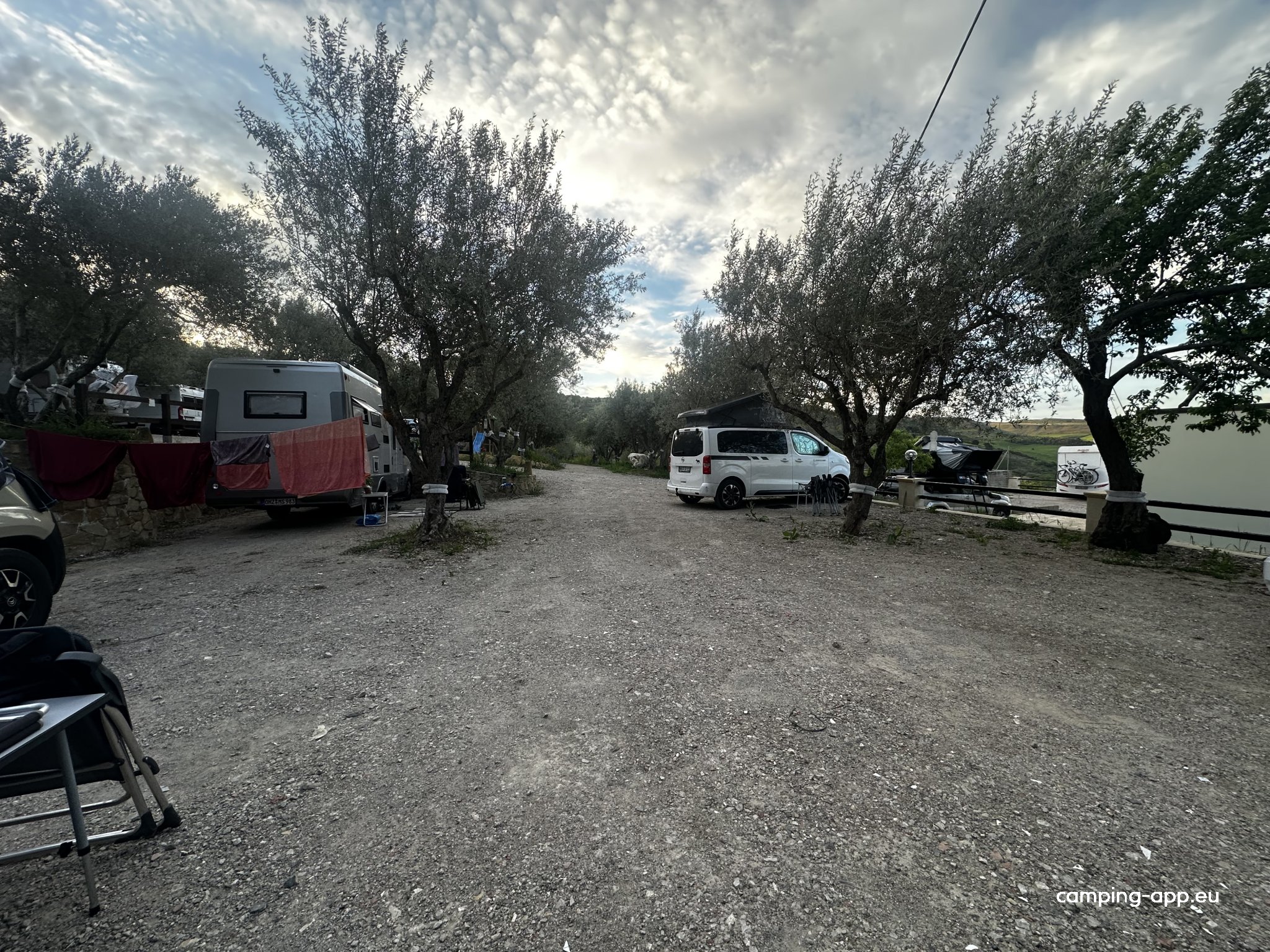 Villa Gerace Azienda Bio — Photo 5