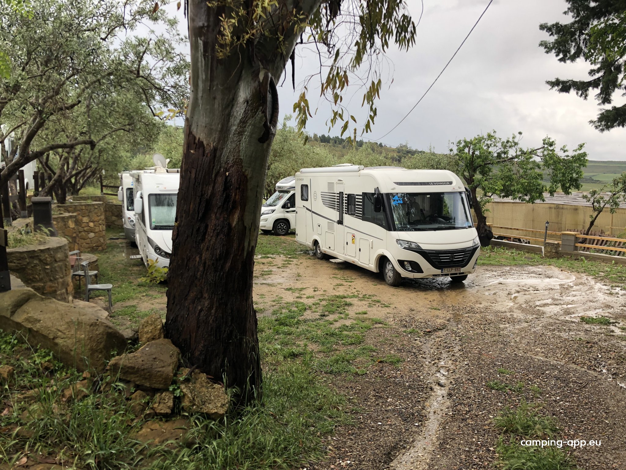 Villa Gerace Azienda Bio — Fotografie 3