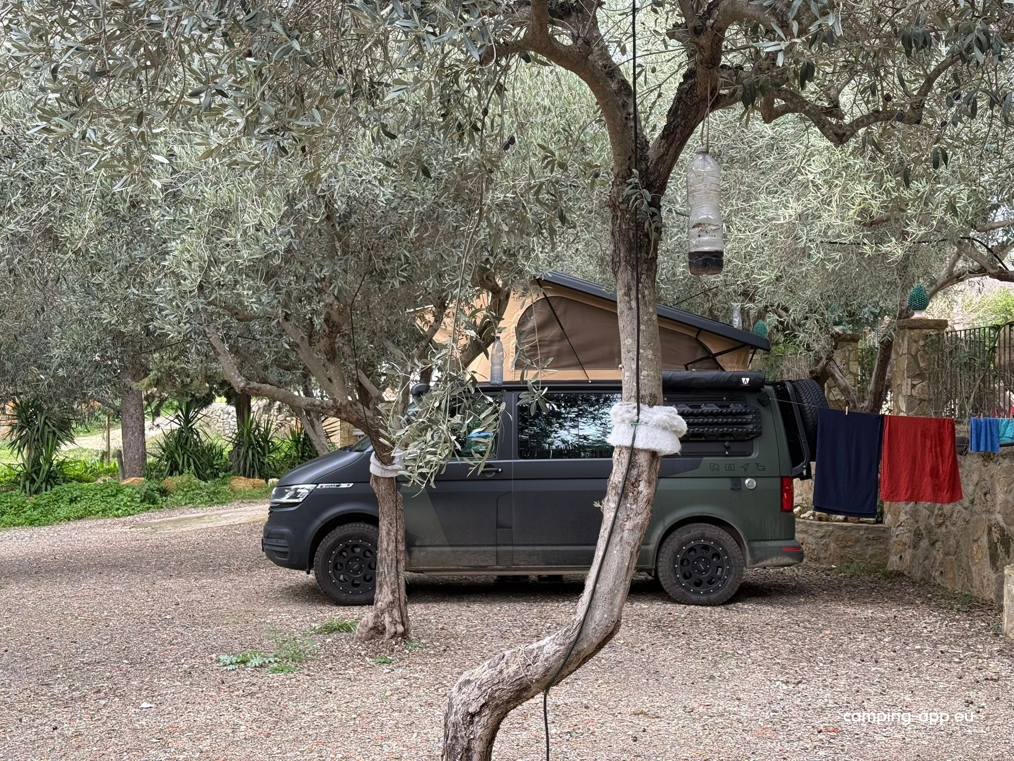 Villa Gerace Azienda Bio — Fotografie 2
