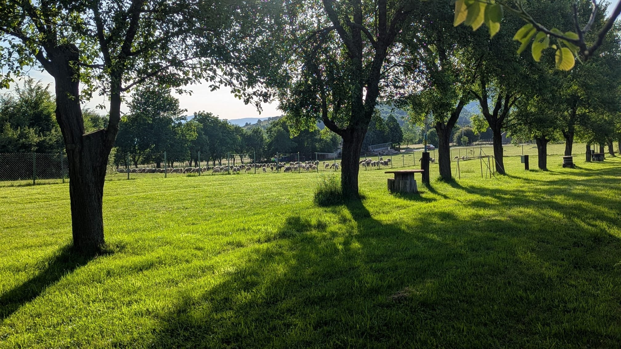 Camping Zalena Dolina — Campingplads in Zalužnica