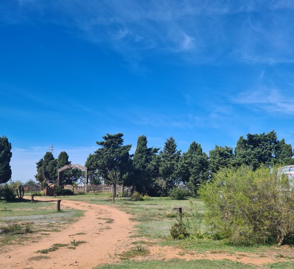 La Siesta de la Gaviota — Photo 5