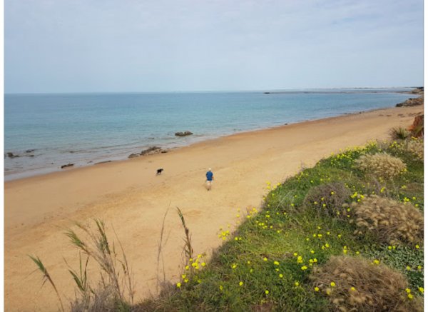 La Siesta de la Gaviota — Foto 3