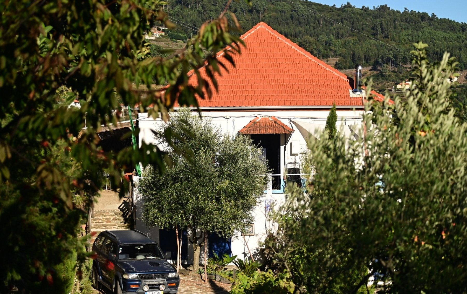 Cuinta das Corujeiras — Kemp in Loivos do Monte