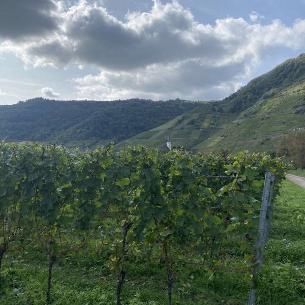 Campingplatz Zum Feuerberg — Photo 4