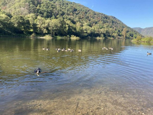 Campingplatz Zum Feuerberg — Photo 2