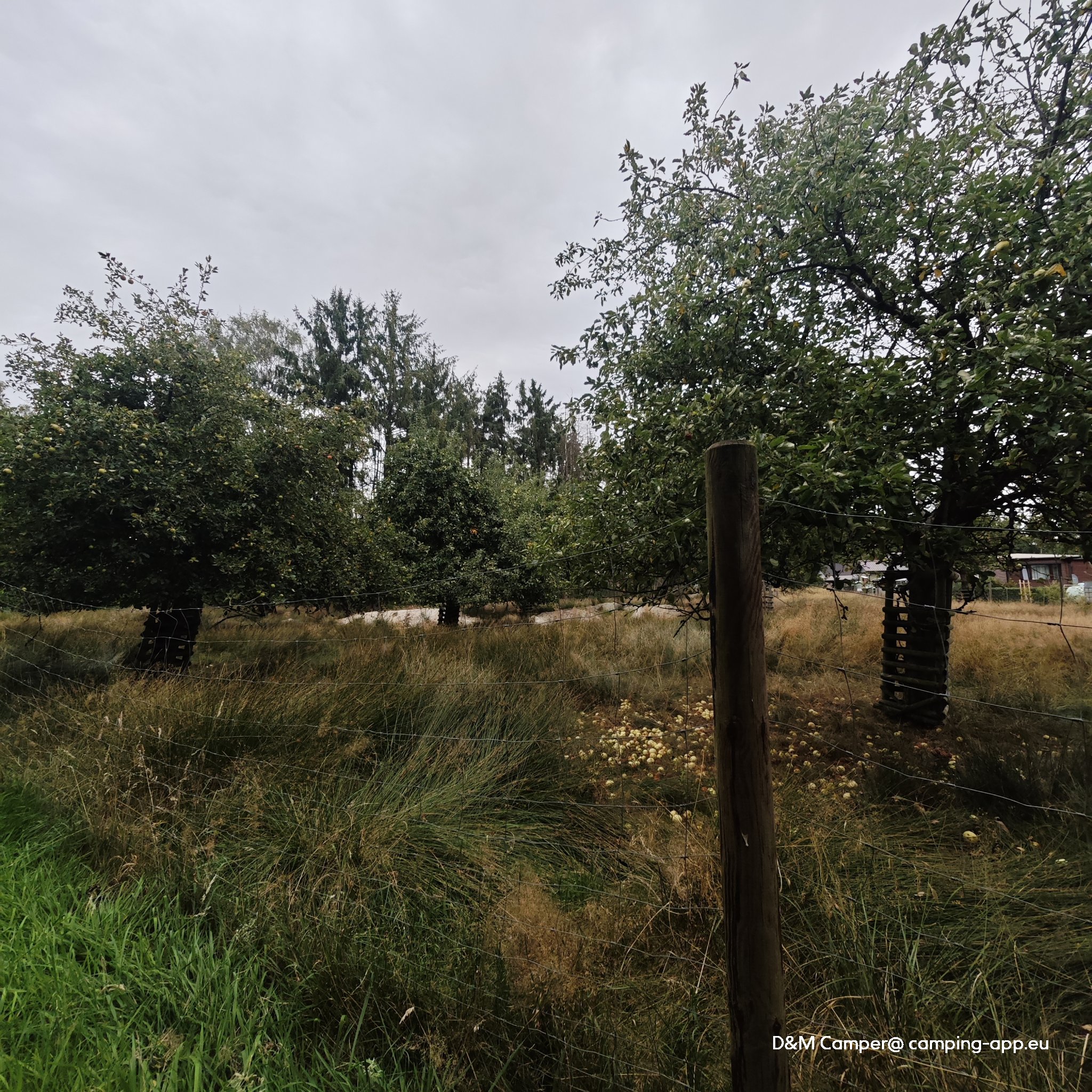 Rethbergsee — Photo 4