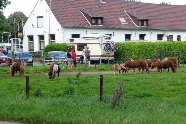 Camping van Ass Roermond — Photo 2