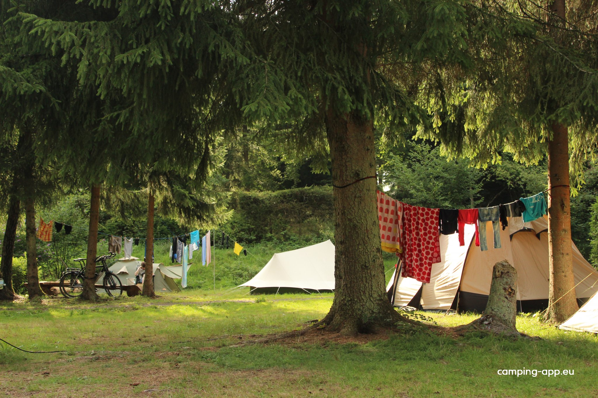 Landgut Girtenmühle — Foto 3