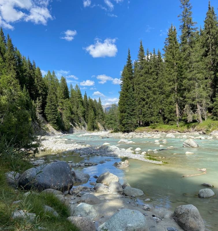 Camping Chapella — 露营地 in S-chanf